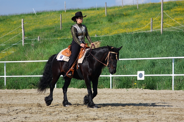 
Martins Pferdehof, Heldenstein-Goldau; 9. - 10. Mai - Western Horsemanship